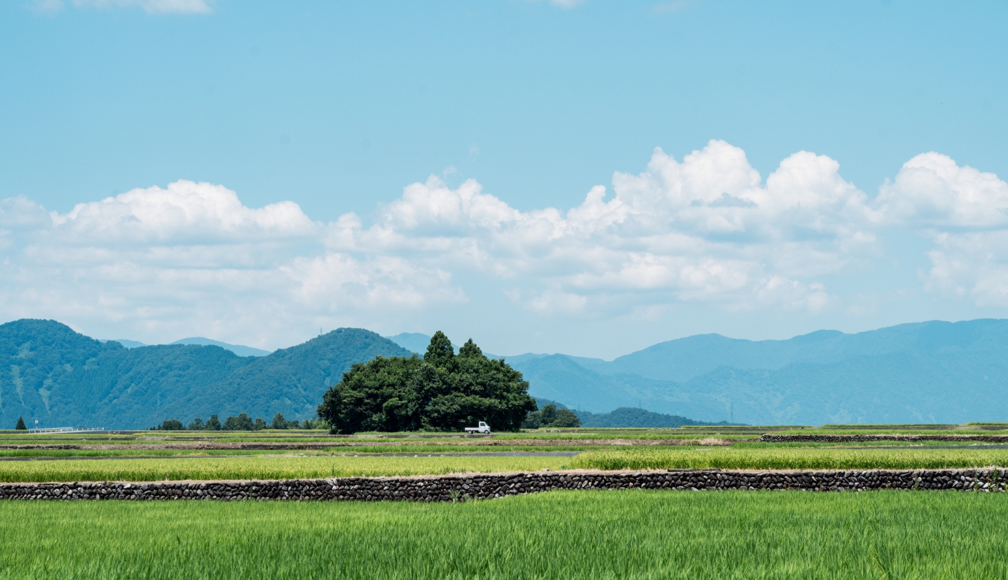 大野の風景